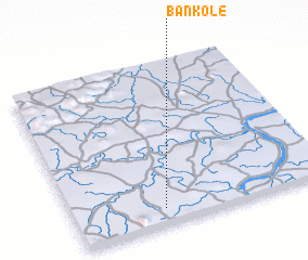 3d view of Bankolé