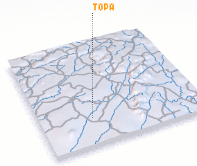 3d view of Topa