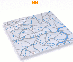 3d view of Didi