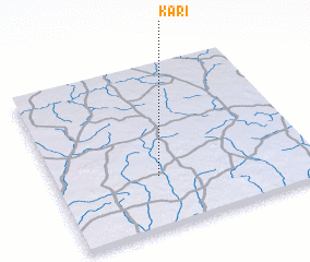 3d view of Kari