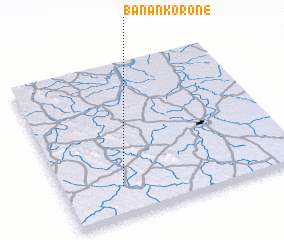 3d view of Banankoroné