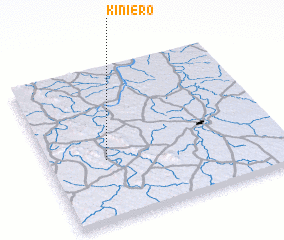 3d view of Kiniéro