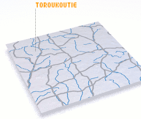 3d view of Toroukoutié