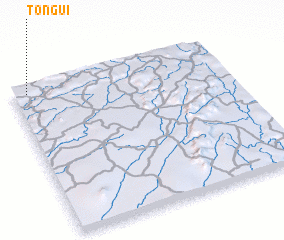 3d view of Tongui