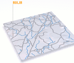 3d view of Molim