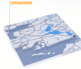 3d view of Capnagower