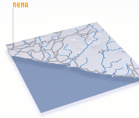 3d view of Nema