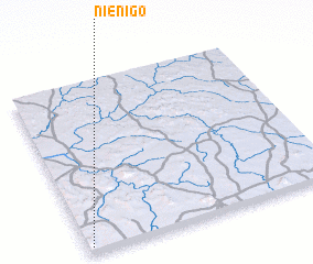 3d view of Niénigo