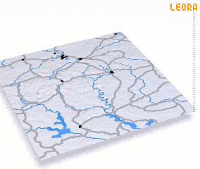 3d view of Leora