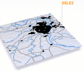 3d view of Ogles