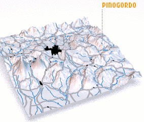 3d view of Pino Gordo