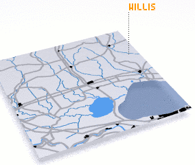 3d view of Willis