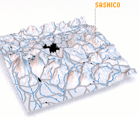 3d view of Sashico