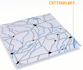 3d view of Cotton Plant