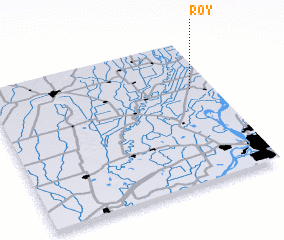 3d view of Roy