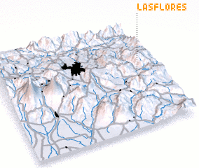 3d view of Las Flores