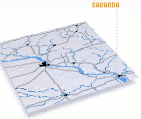 3d view of Savanna