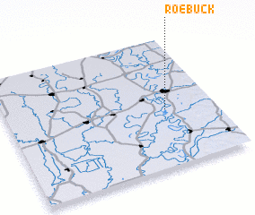 3d view of Roebuck