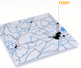 3d view of Terry