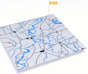 3d view of Pink