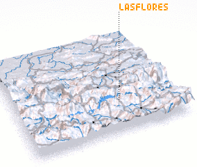3d view of Las Flores