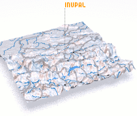 3d view of Inupal