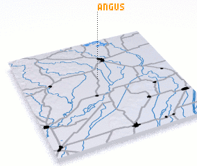 3d view of Angus