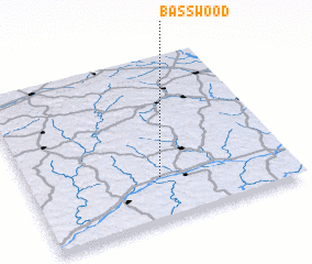 3d view of Basswood