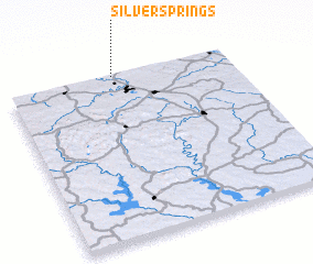 3d view of Silver Springs