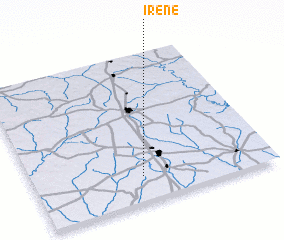 3d view of Irene