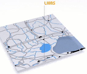 3d view of Lions