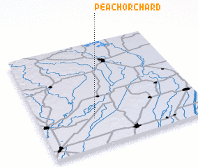 3d view of Peach Orchard