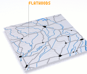 3d view of Flatwoods