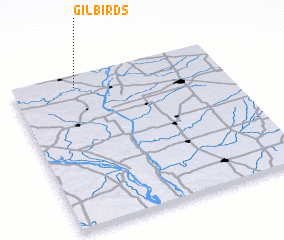 3d view of Gilbirds