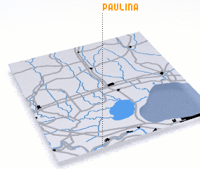 3d view of Paulina