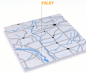 3d view of Foley