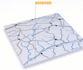 3d view of Woodman