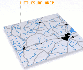 3d view of Little Sunflower