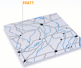 3d view of Pratt