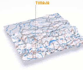 3d view of Tunajá
