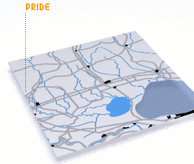 3d view of Pride