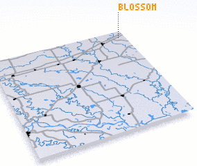 3d view of Blossom