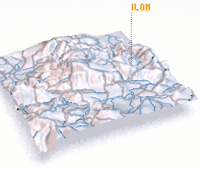 3d view of Ilom