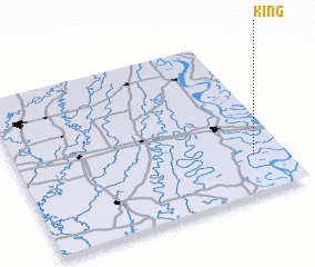 3d view of King