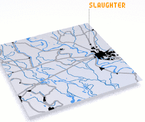 3d view of Slaughter