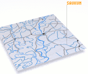 3d view of Saukum