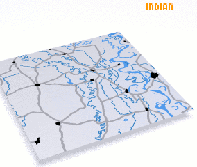 3d view of Indian