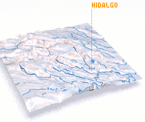 3d view of Hidalgo