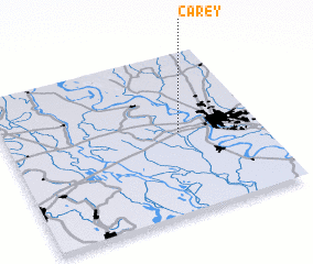 3d view of Carey