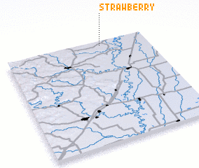 3d view of Strawberry